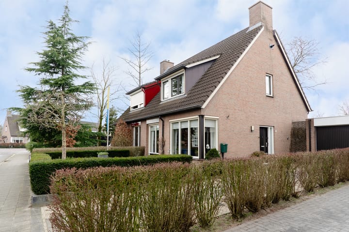 Foto 61 van Wildzoom 3