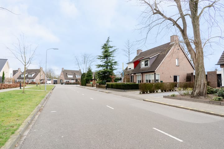 Foto 63 van Wildzoom 3