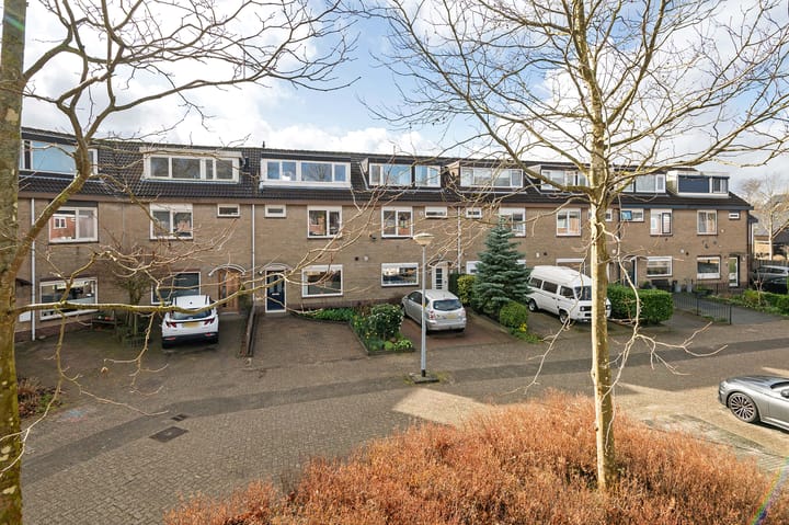 Foto 37 van Söderblomstraat 235