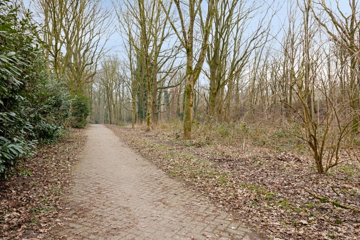 Foto 50 van Schutter 17