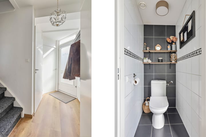 Foto 15 van Elstar 10