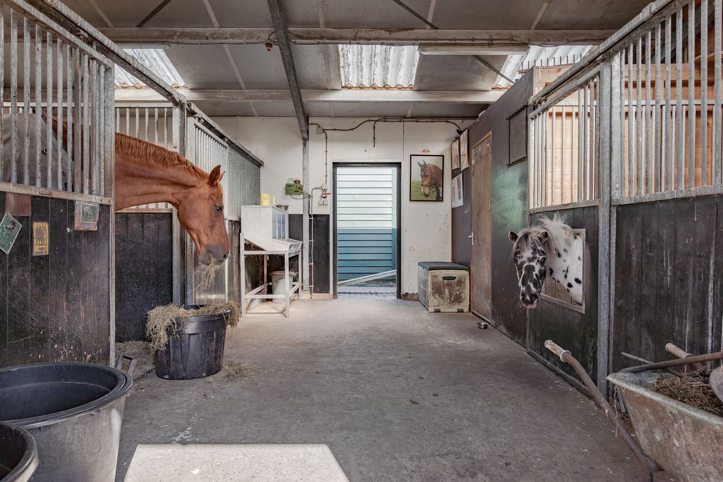 Foto 29 van Starnmeerdijk 24