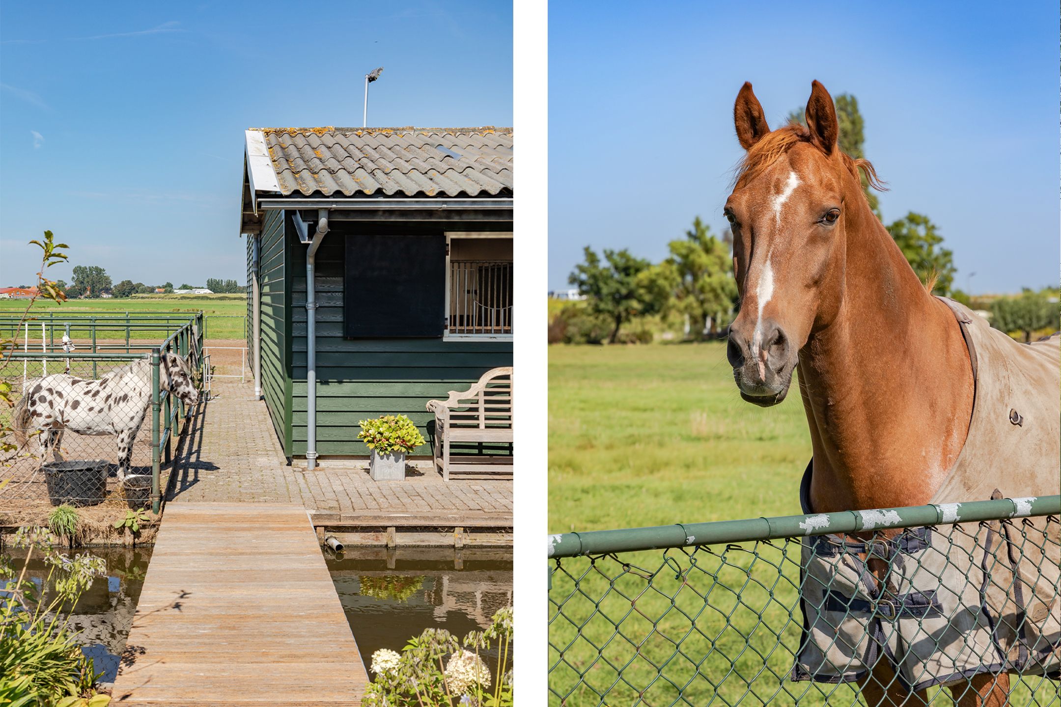 Foto 30 van Starnmeerdijk 24