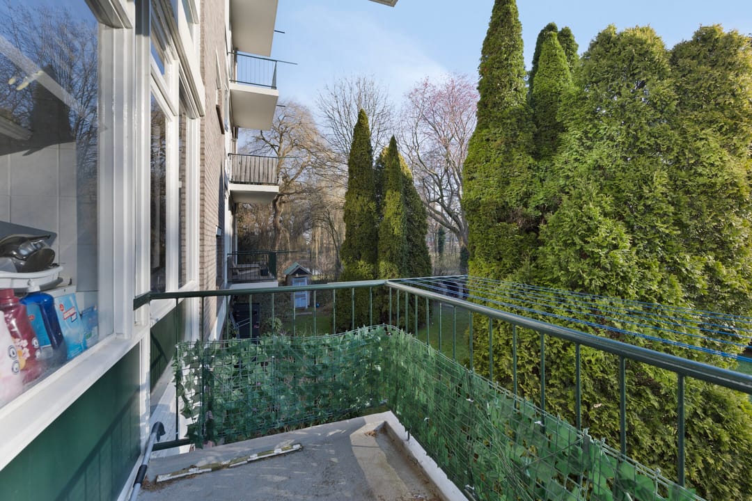 Foto 23 van Roemer Visscherstraat 234