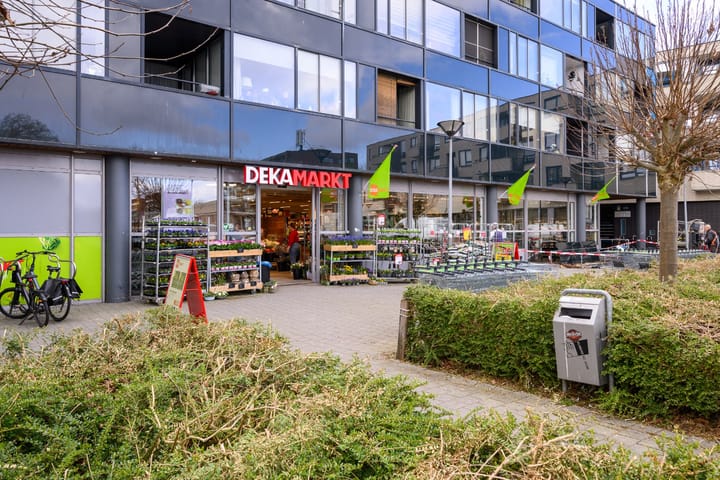 Foto 40 van Govert Flinckstraat 21