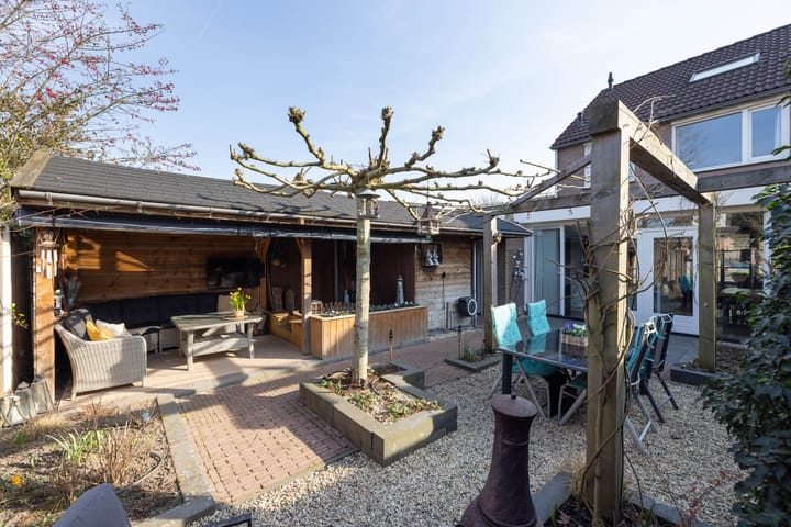 Foto 2 van Zwenkgras 2