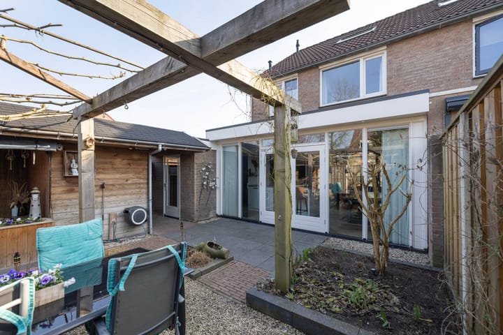 Foto 33 van Zwenkgras 2