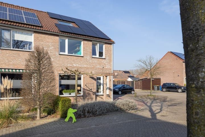 Foto 35 van Zwenkgras 2