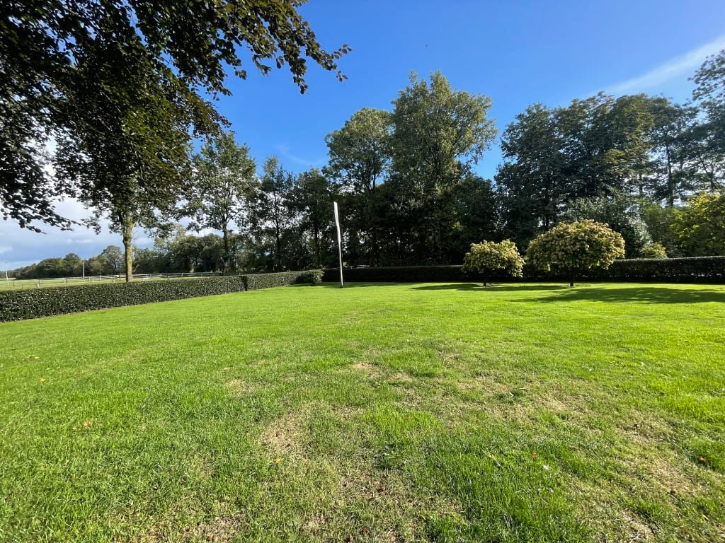 Foto 12 van Nijeveense Bovenboer 12