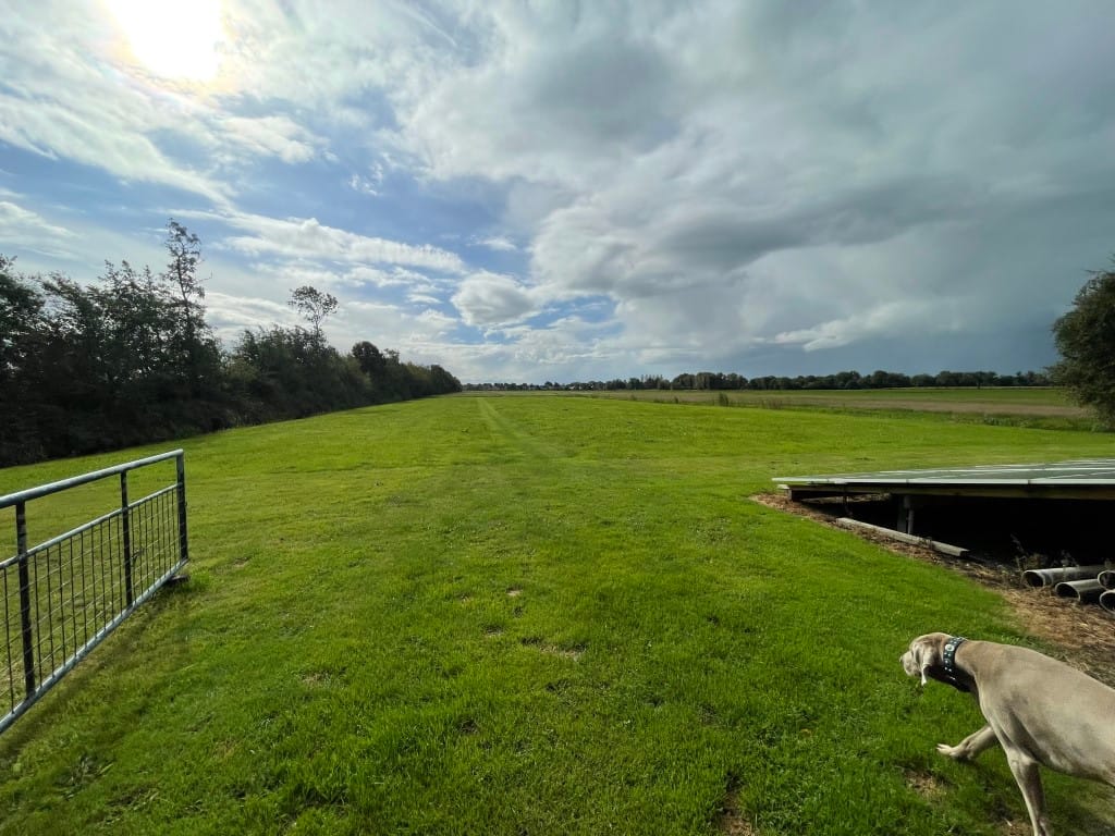 Foto 16 van Nijeveense Bovenboer 12