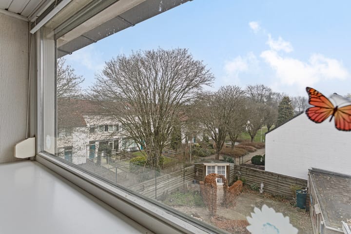 Foto 32 van Maassingel 143