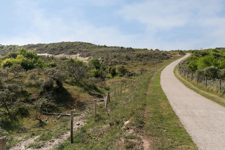 Foto 39 van Ligusterlaan 3