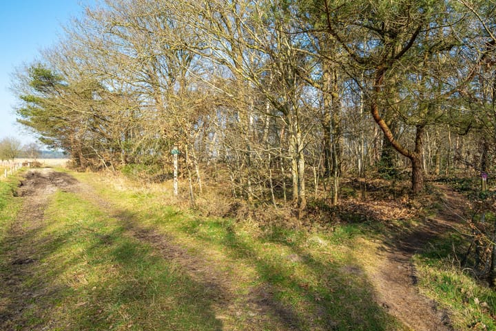 Foto 32 van Bungalowpark 23