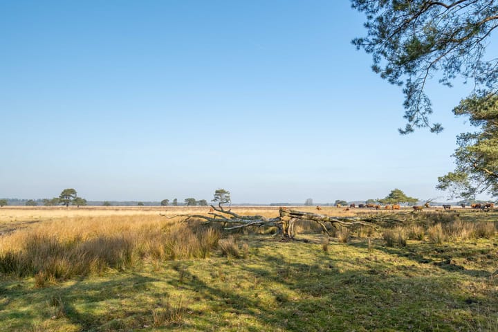 Foto 35 van Bungalowpark 23