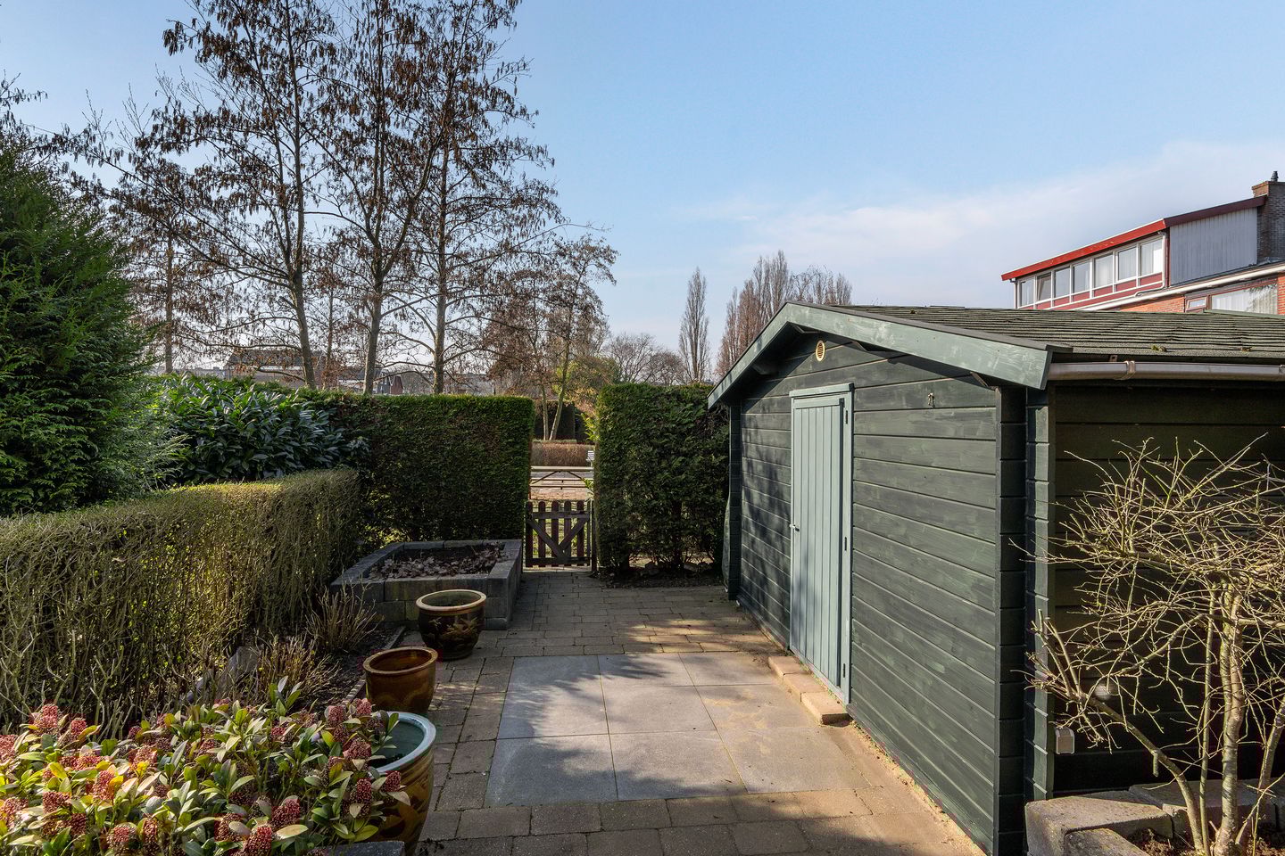 Foto 19 van Witte van Haemstedestraat 23