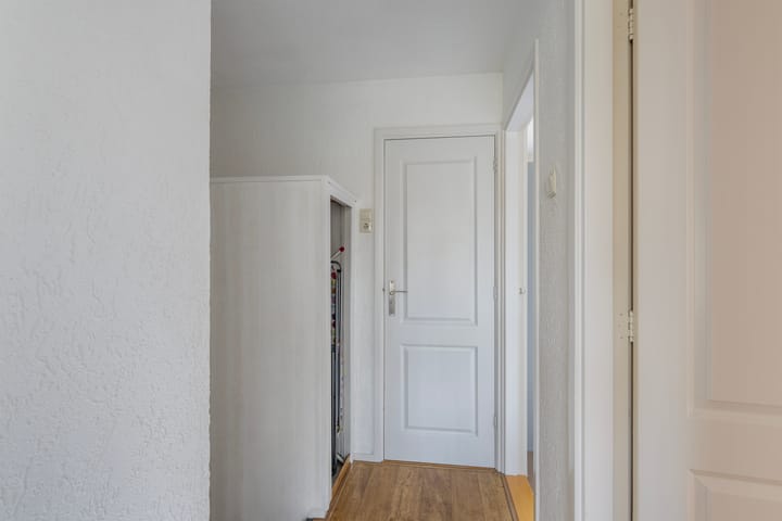 Foto 26 van Witte van Haemstedestraat 23