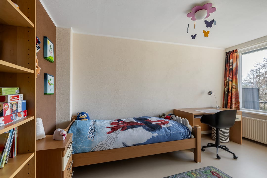 Foto 31 van Witte van Haemstedestraat 23