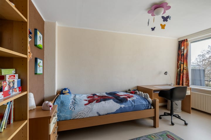 Foto 31 van Witte van Haemstedestraat 23