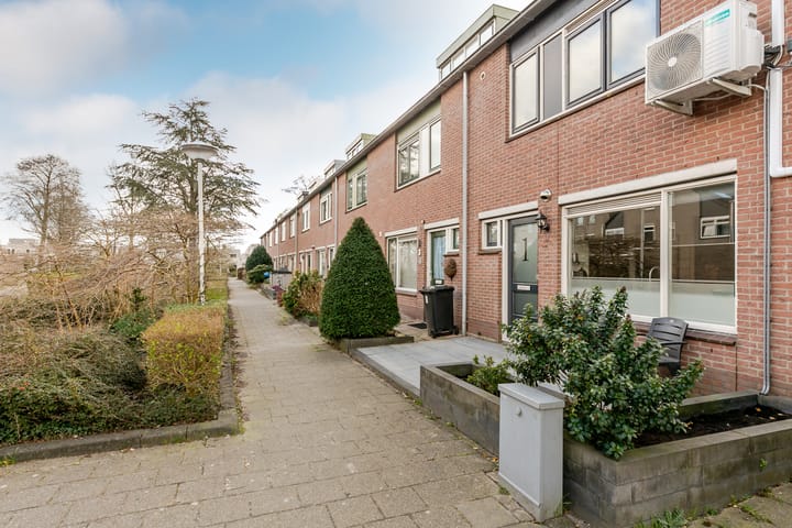 Foto 31 van Marmerwit 1