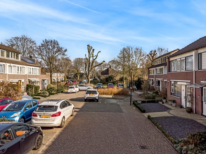 Foto 27 van Robijn 3