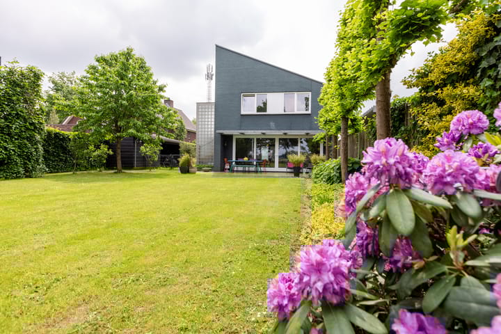 Foto 37 van Veertels 5