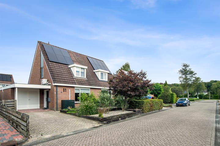 Foto 1 van Weidemaad 92