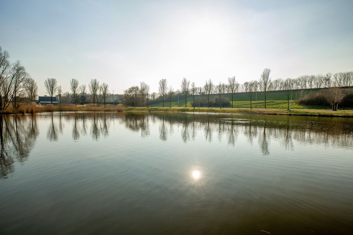 Foto 65 van Brucknerstraat 63