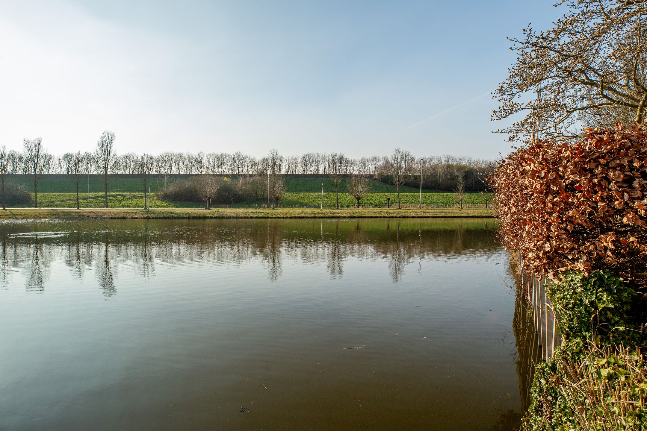 Foto 66 van Brucknerstraat 63