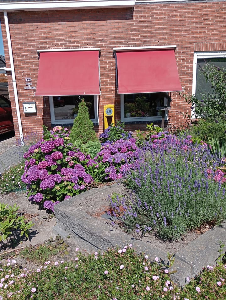 Foto 10 van Pastoor Slosserstraat 20