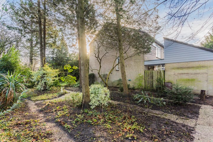 Foto 16 van Fazantenkamp 916