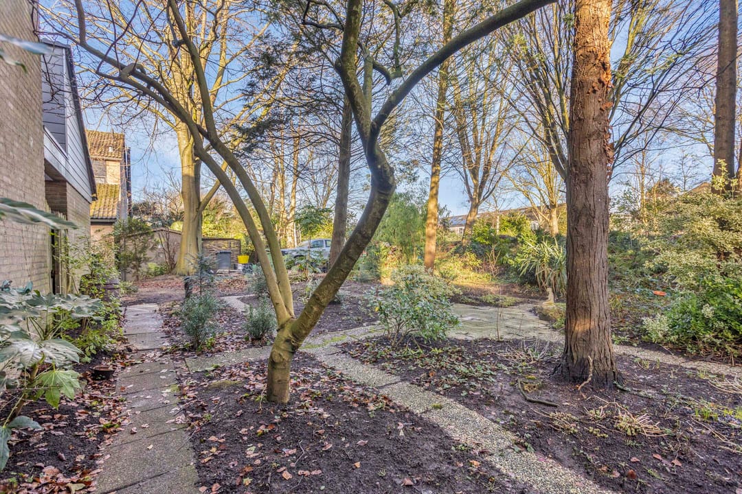 Foto 17 van Fazantenkamp 916