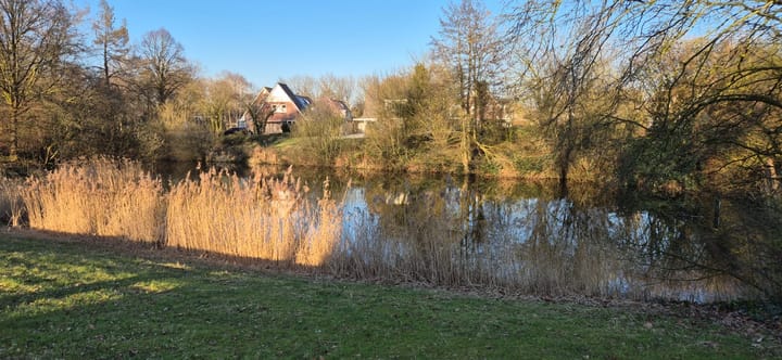 Foto 34 van Sonsbeek 10