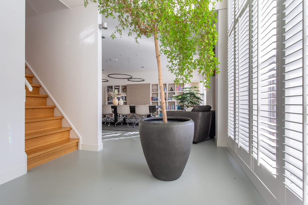 Photo 13 of Maliesingel 94