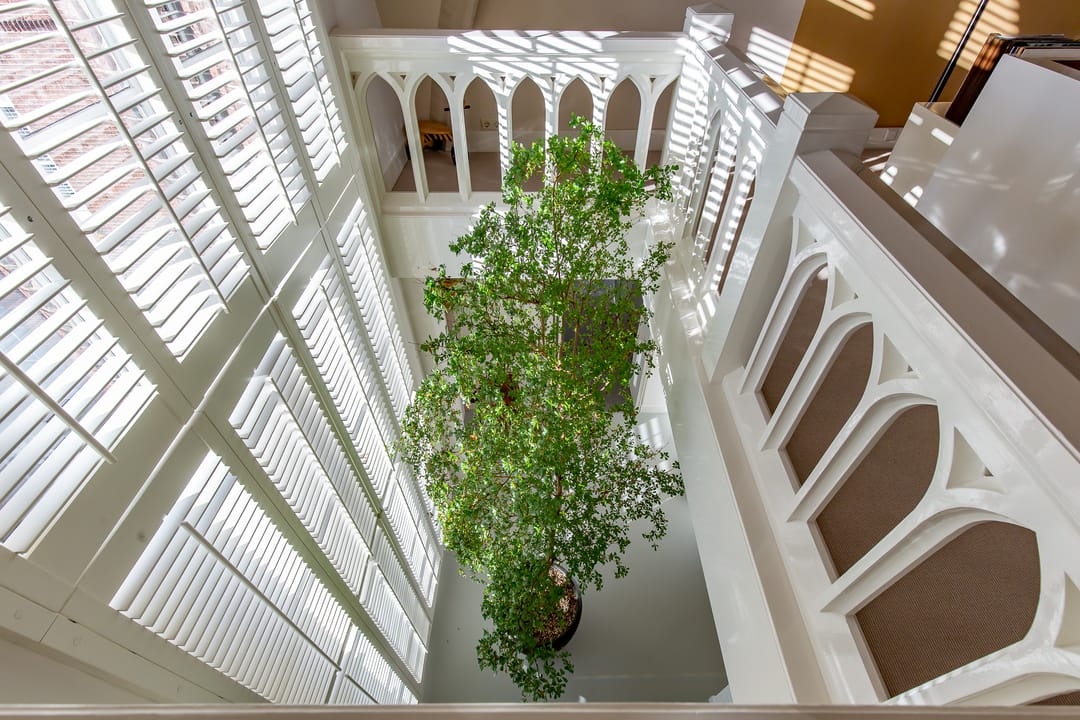 Photo 23 of Maliesingel 94