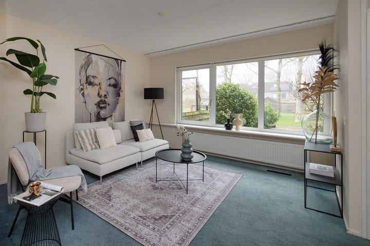 Foto 2 van Huismus 9