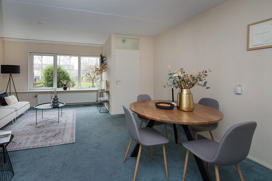 Foto 11 van Huismus 9