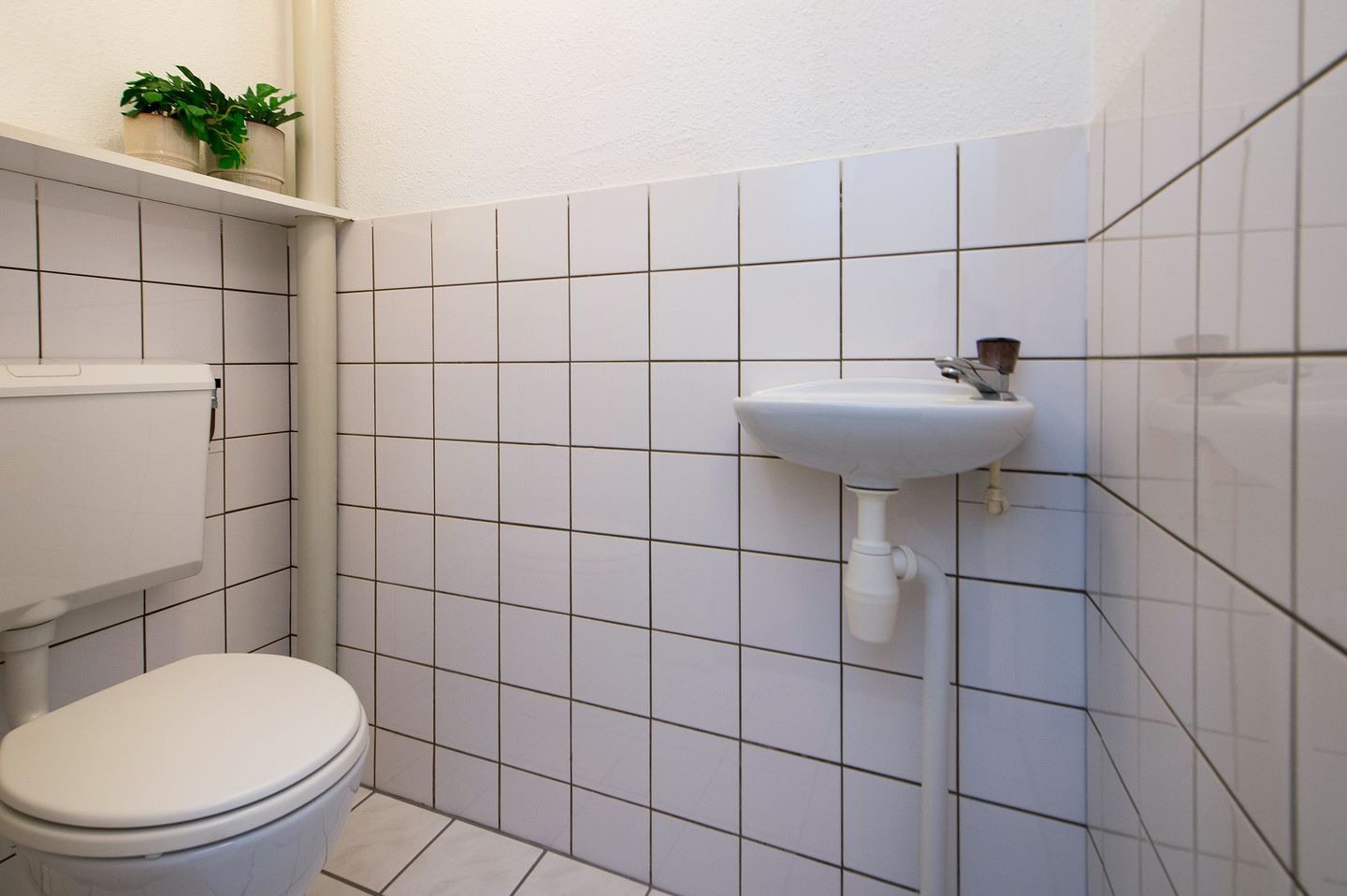 Foto 19 van Huismus 9