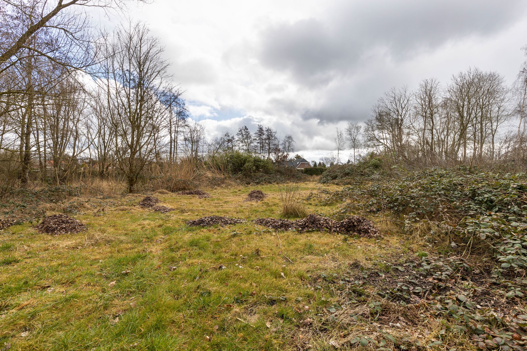 Photo 39 of Kloosterlaan 36