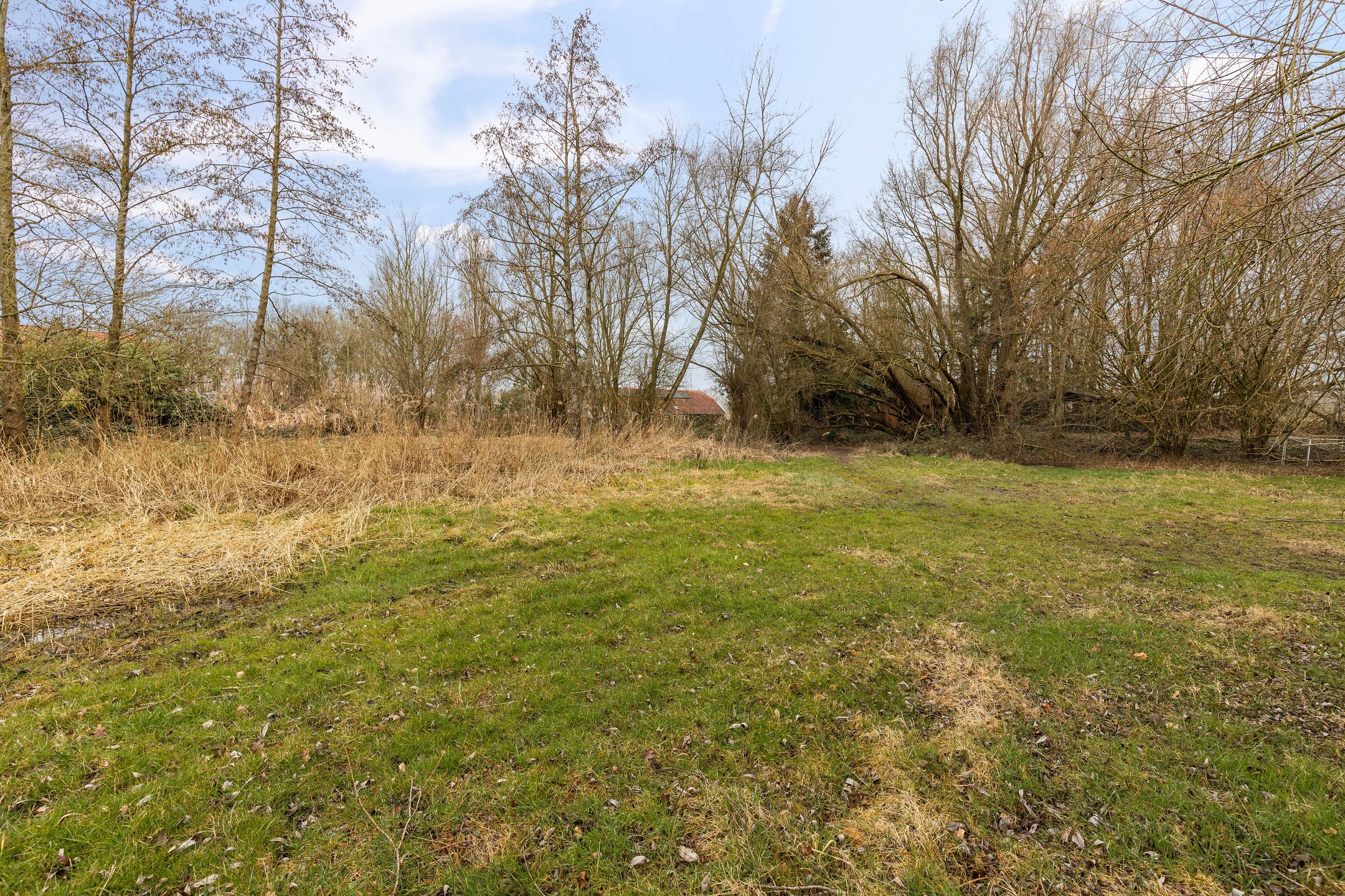 Photo 42 of Kloosterlaan 36