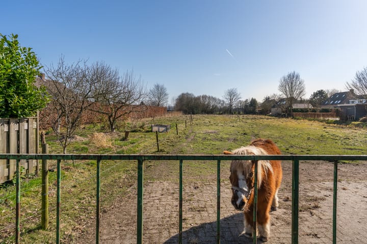 Foto 24 van Woudseweg 17