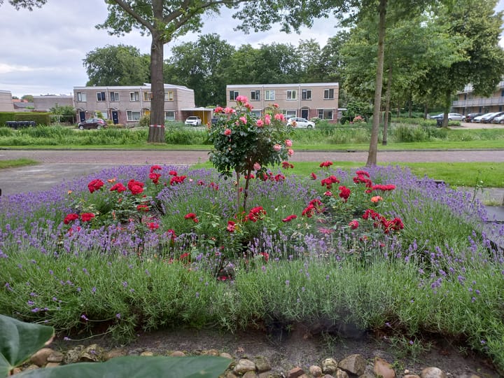 Photo 50 of Baronesse de Vos van Steenwijksingel 46