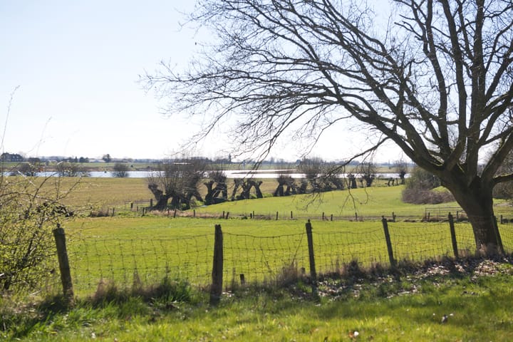 Foto 54 van Benedendorpsweg 204