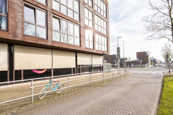 Foto 48 van Houtrakgracht 229