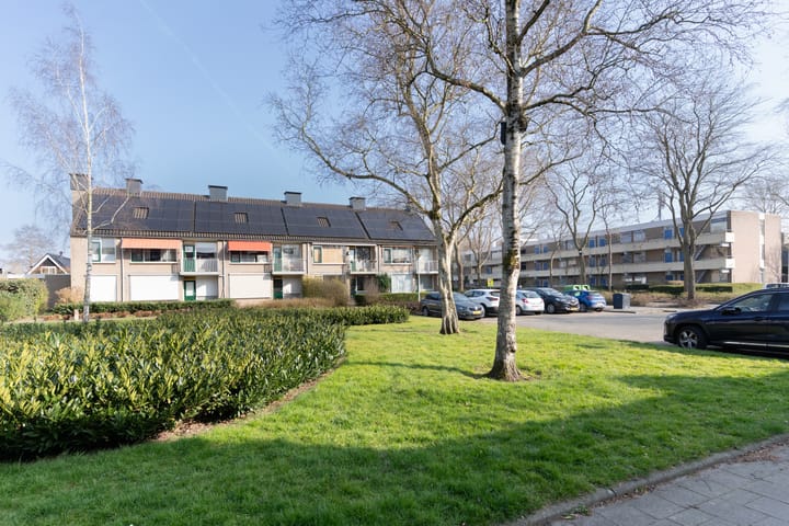 Photo 48 of Morgenster 14