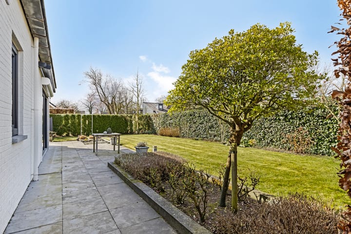 Foto 31 van Berkelstraat 11