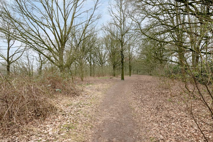 Foto 33 van Gebroeders de Koninglaan 13