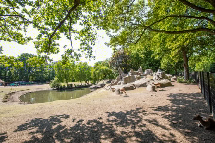 Foto 28 van Marie Curielaan 32