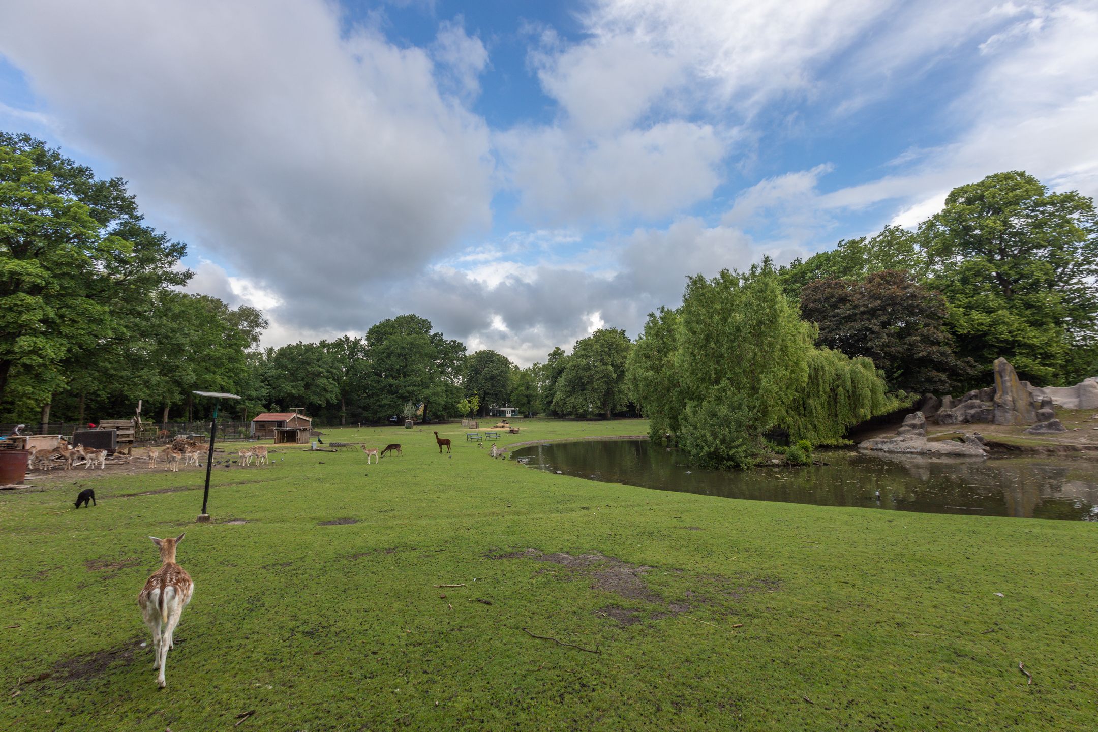 Photo 30 of Marie Curielaan 32