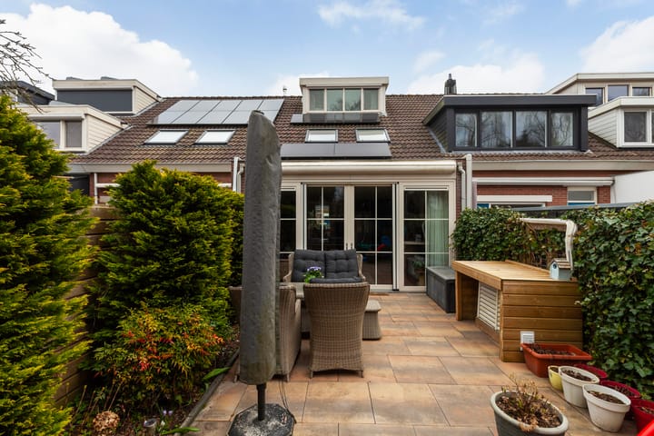 Foto 5 van Witte Klaver 32