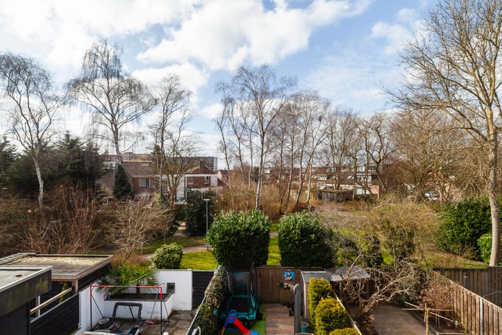 Foto 25 van Witte Klaver 32